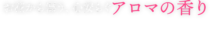 あなたの手で特別なプレゼントを